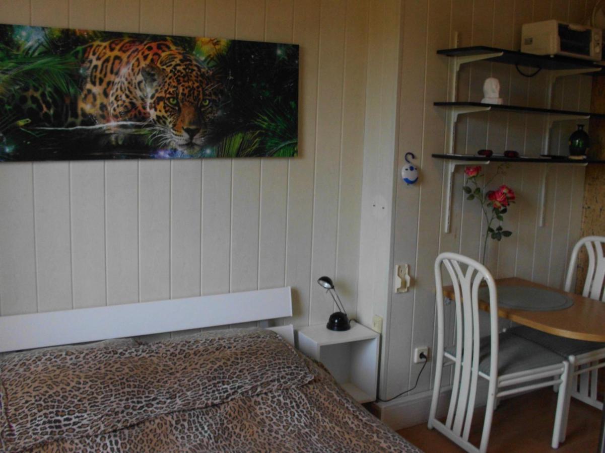 Lovely Apartment 2 Et Inkl Parkplatz Nach Verfuegbarkeit 埃森 外观 照片